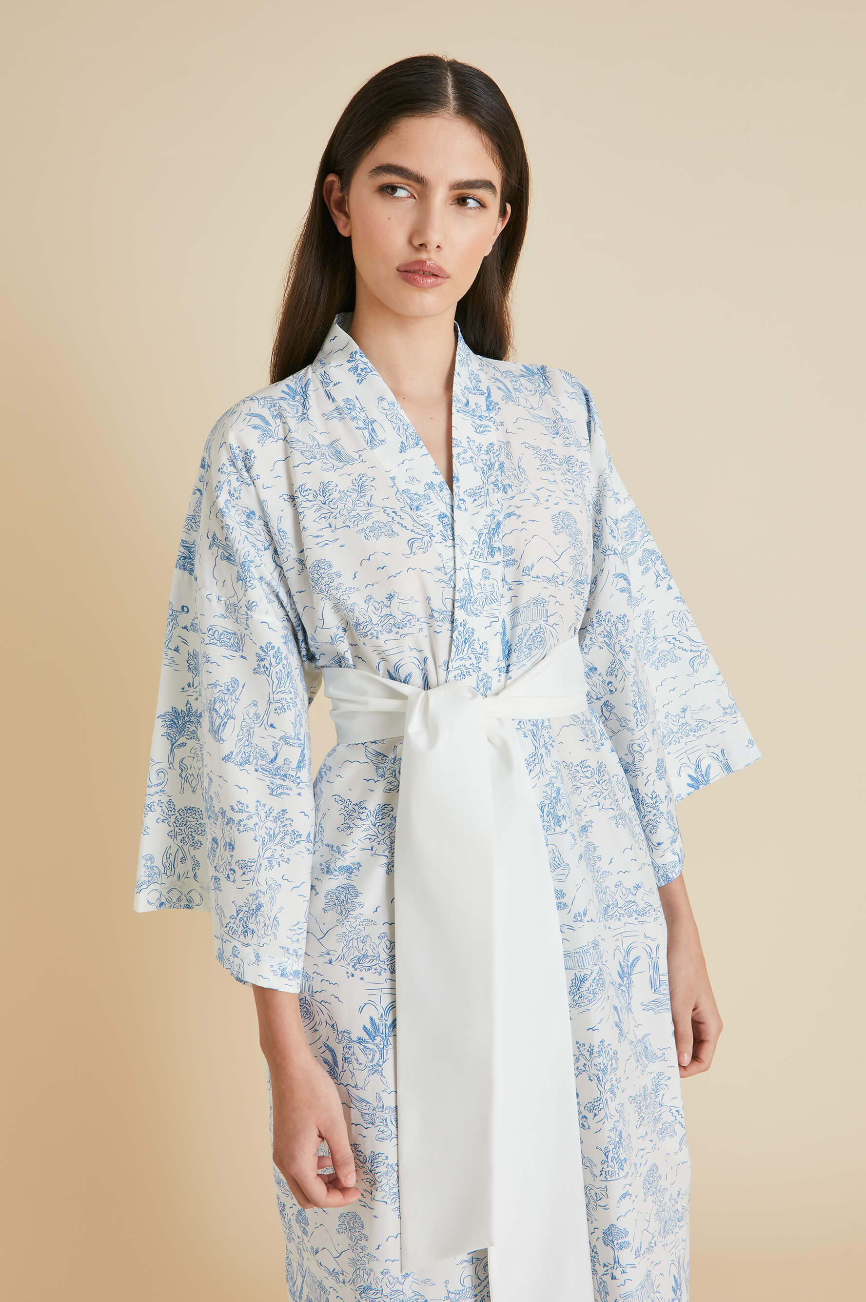 Amaya Eros Ivory Toile de Jouy Robe in Cotton-Silk