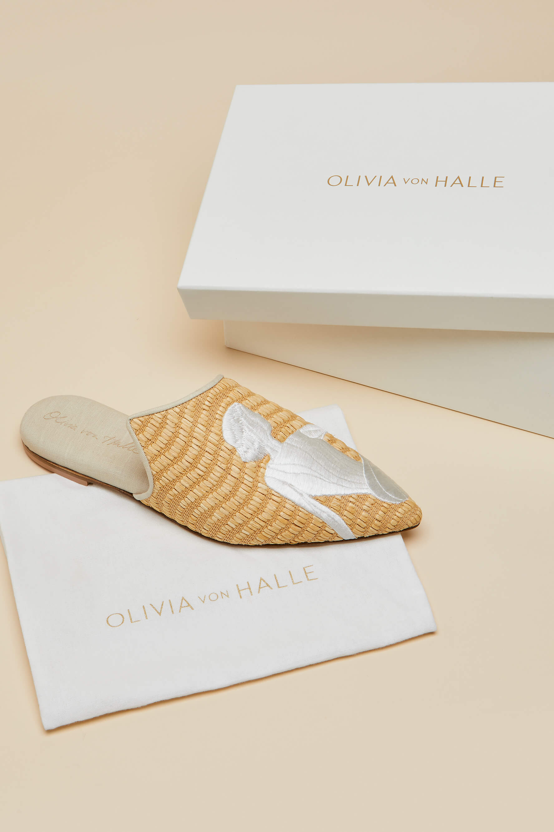 Contessa Viola Beige Embroidered Slippers in Raffia